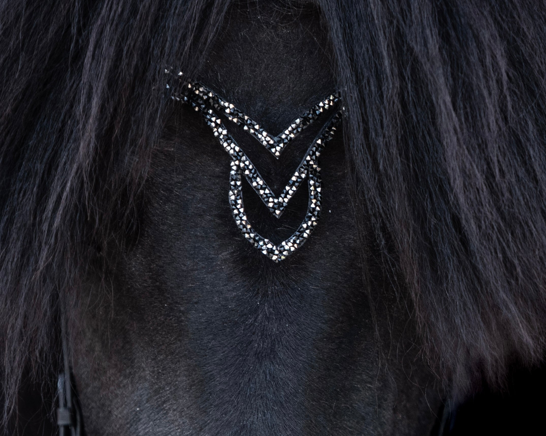 Outlet - Stirnriemen