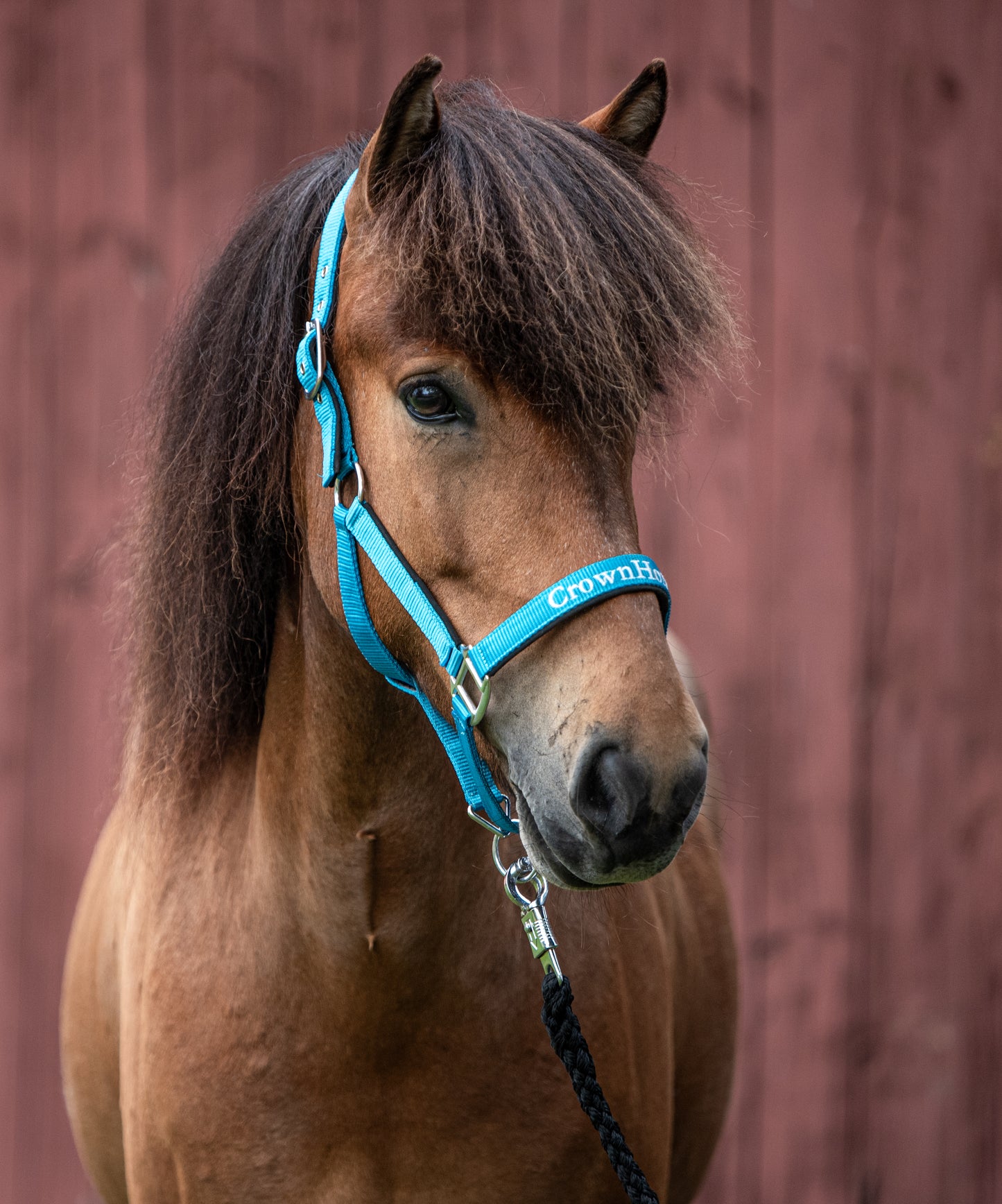 Halfter CrownHorse Türkis