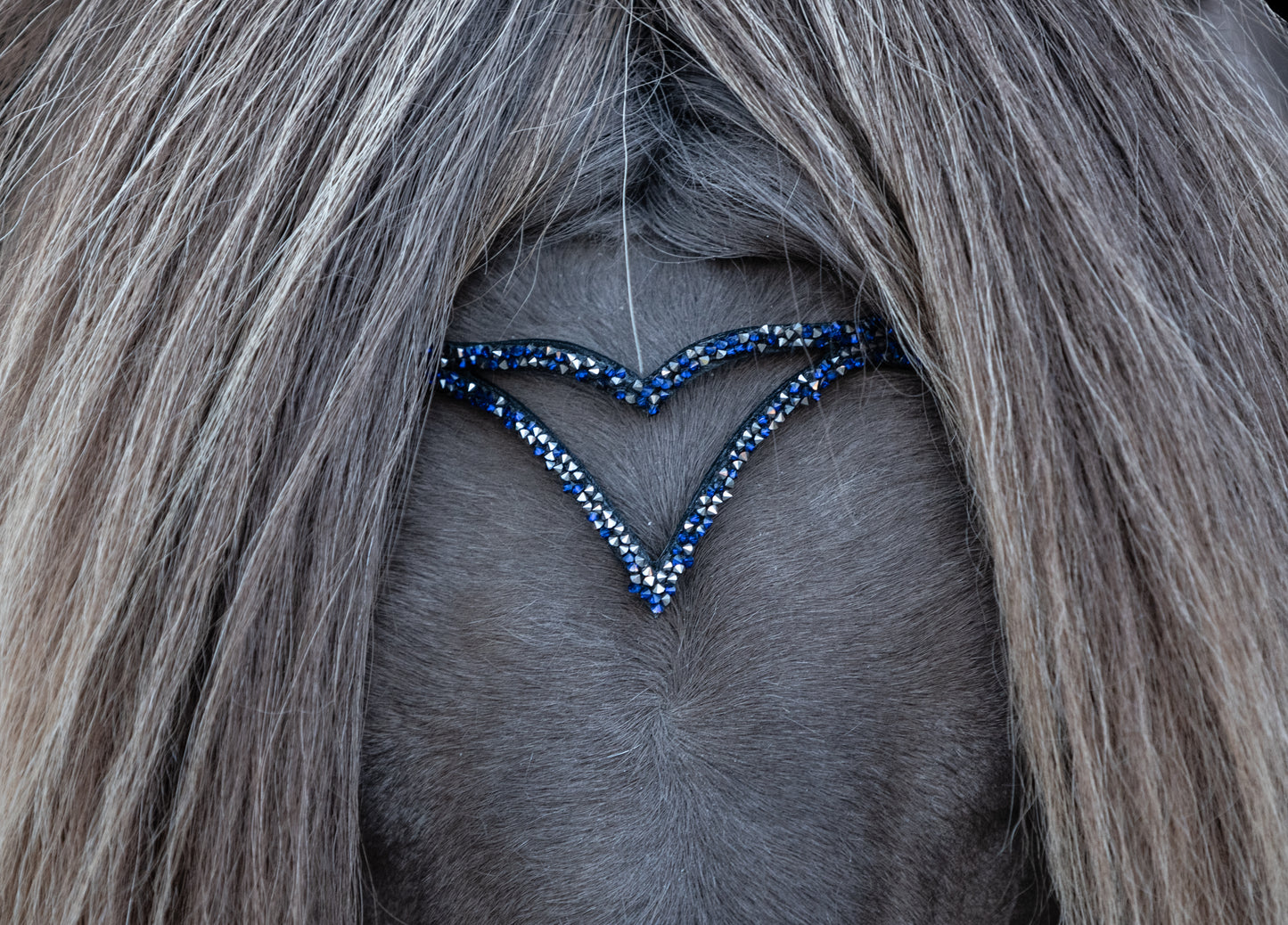 Anatomische Trense Hjarta Blau/grau