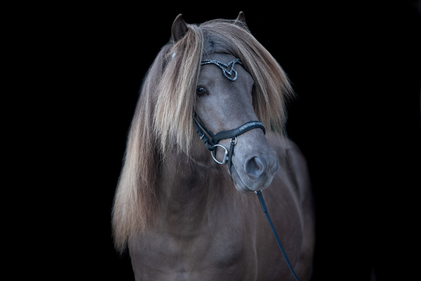Stirnriemen Króna silber