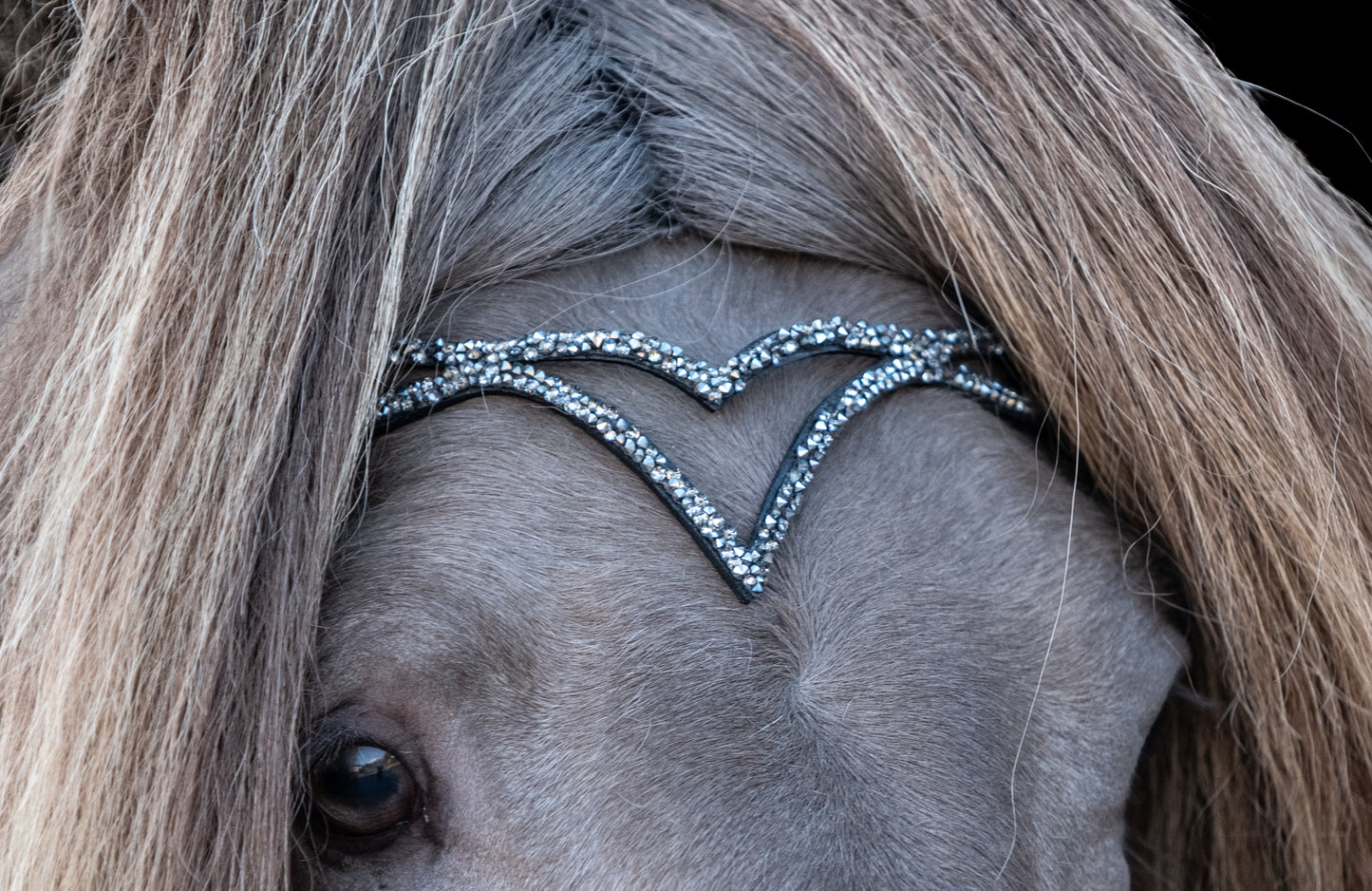 Anatomische Trense Hjarta Silber/grau