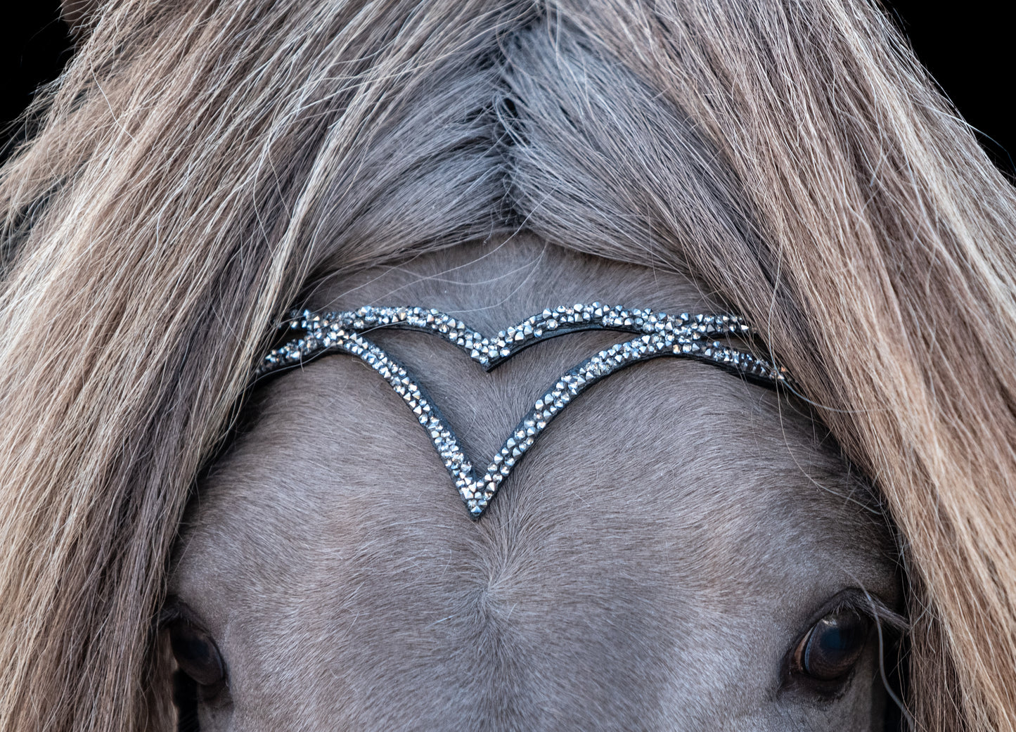 Anatomische Trense Hjarta Silber/grau