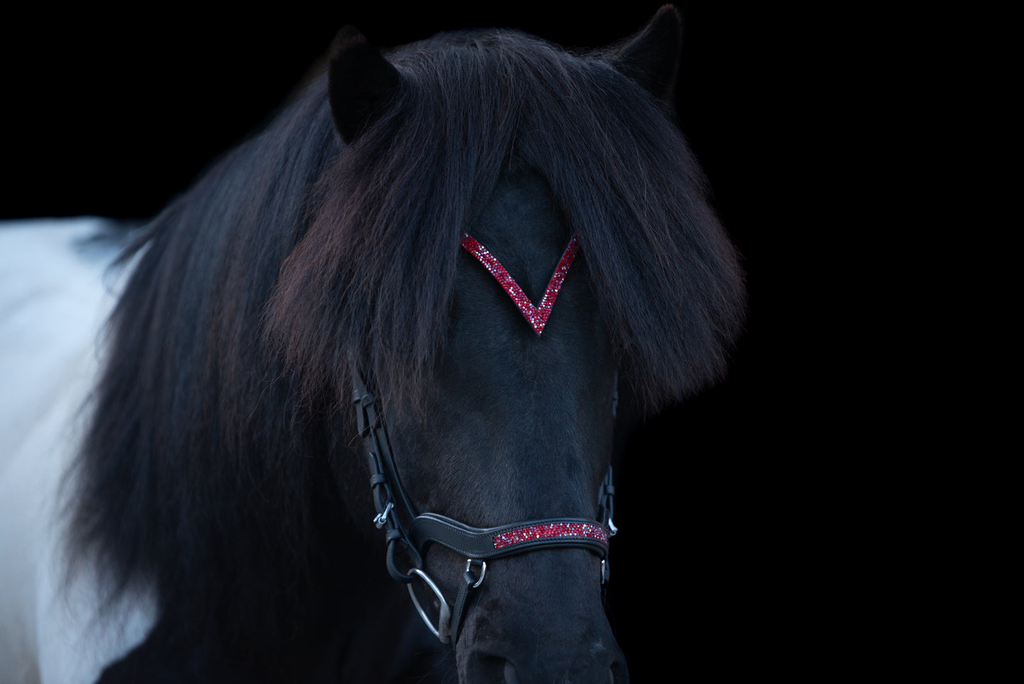 Anatomische Trense V-Stirnriemen Pink