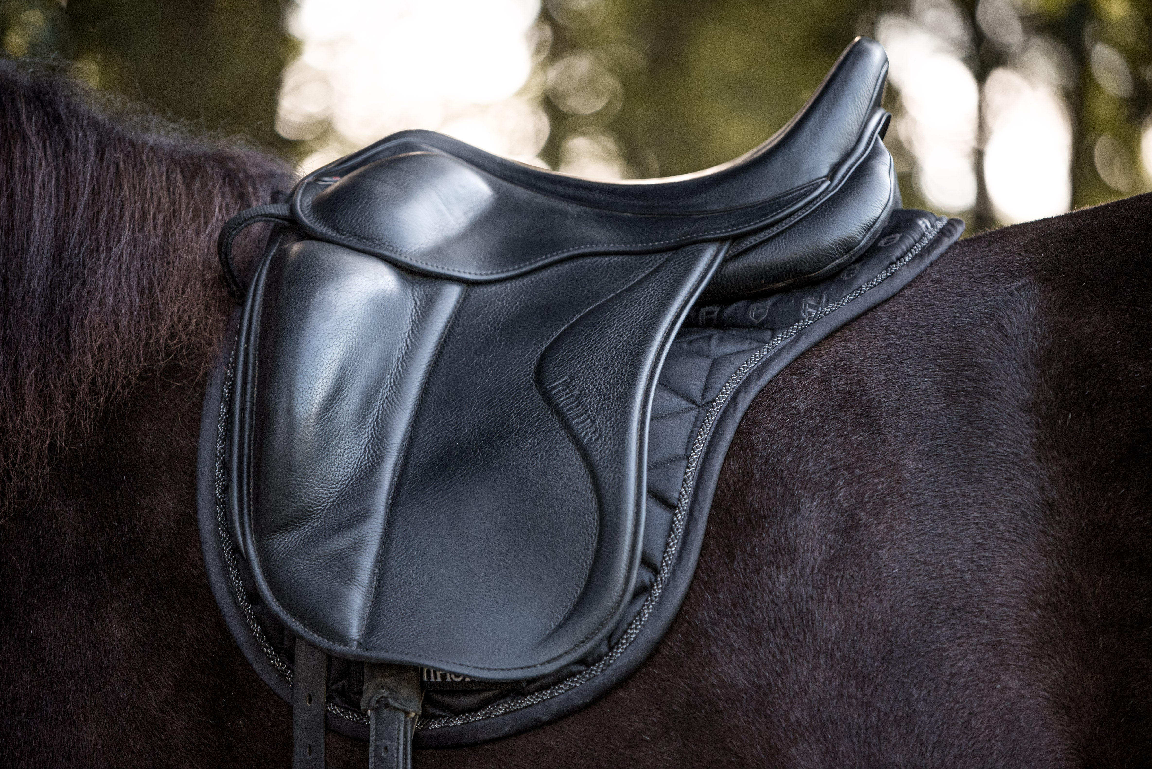 Sättel & Sattelzubehör