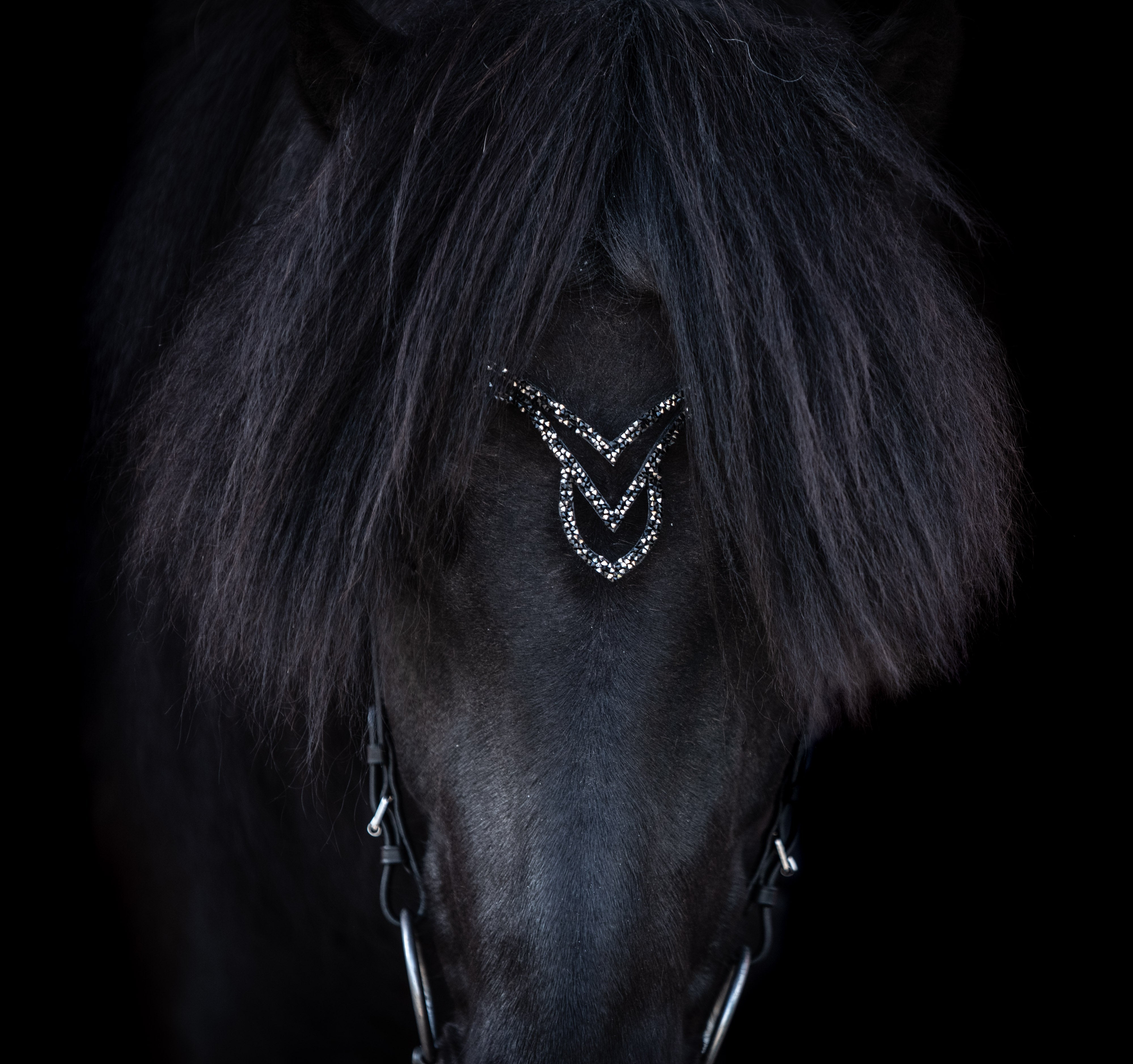 Anatomische Trensen Króna