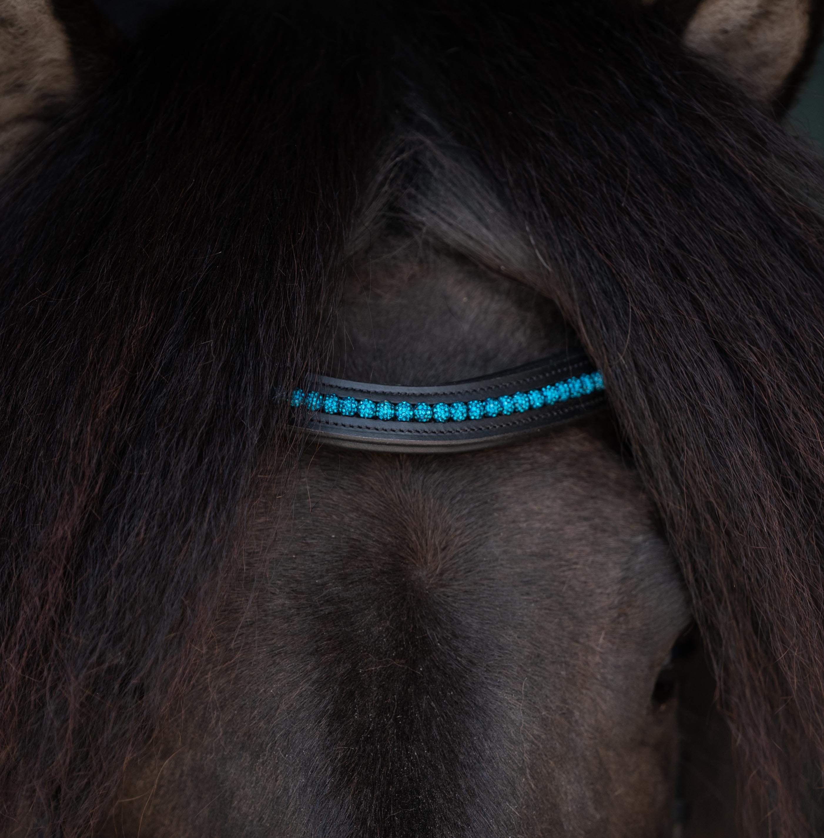 Anatomische Trensen Perlur